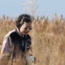 강릉포레스트 이미지