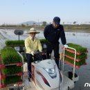 단평1리 뉴스1