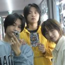 골드피그 이미지