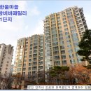 수영초교 이미지