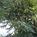 시골별장 이미지