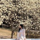 충혼로-2 이미지