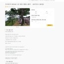 스테이 청춘 이미지