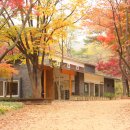 더불어숲 도서관 이미지