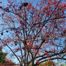 뿌리공원 둘레길 이미지