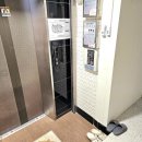 스테이 단밤 이미지