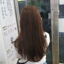 모완텐헤어