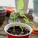 세경농장 이미지