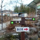 동곡천 | [억불지맥1구간] 전남광양 (백운산~죽림고개) 2019.12.28일산행