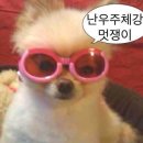 GS25 인천논현역 | 일상블로그 처서 매직을 기대합니다