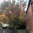 손기정문화도서관 | 서울역 놀거리, 가볼만한 곳 [손기정문화도서관] 방문 후기 (운영시간, 휴무일, 노트북, 음료 반입)