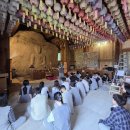 도신자원 이미지