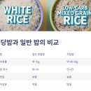 살롱드독 | 저당밥, 건강한 밥상을 위한 선택 : 효능, 장점, 만드는 법, 레시피 등