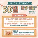 파트엘 | [미가스튜디오 일산점] 내돈내산💸 | 아기 50일 촬영 후기 및 촬영 꿀팁💫