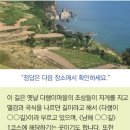 로뎀편백나무펜션 이미지