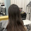JOO 강아지미용실 | 분당 서현역 미용실 살롱고은 | 데미컴포지오 클리닉 보경 부원장님 후기