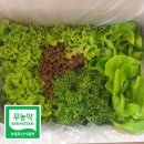 쌈