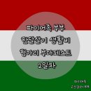 한국주방산업 앞 교통섬 | 한달살기 하루 생활비 (유럽 마트 물가, 머르기트섬 러닝, 풍향고2 레트로 랑고쉬, 성 이슈트반 대성당...