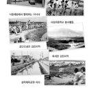 세화정형외과의원 Daum카페