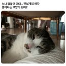 거창적십자병원 | #54 HAPPYEND