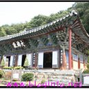 청룡사 Daum카페