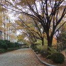 대륜고등학교 이미지