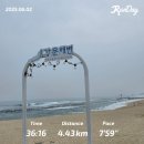 강릉 빵빵런 마라톤 3박4일 안목해변 소품샵투어 평창여행 DAY3 토끼의숲 힐링하고 마지막 밤