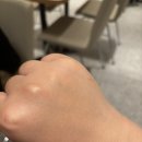 스텔라이 | 번외. 루시스 스텔라이 핸드크림 후기