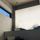 라떼플로라 | [서오릉 카페] 플로라 방문 후기 (대가왕쭈꾸미 옆 분위기 좋은 정원 카페)