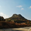 정배산 Daum카페