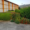 남상면사무소 이미지