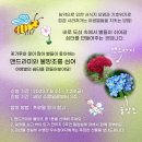 씨앗과 숲