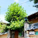 용추돌모리캠핑장 이미지