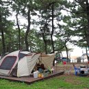 연곡해변 솔향기캠핑장 이미지