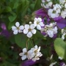 문해수행정사사무소 이미지