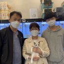 루이앤독스 이미지