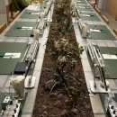 아이리스PC카페 | 홍대 데이트 나만의 향수공방 체험기 (feat. 홍대 닷노트)