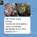 [ 서비스 ] 홍가리비 1키로씩 더 드립니다 // 살고동 주문 가능하세요 // 햇 쌈배추 세일 1박스 18,000원 무료배송 이미지