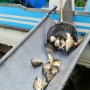 당골낚시터 이미지