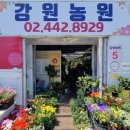 강원농원 - 가평군 세곡로104번길 22 | 강원농원