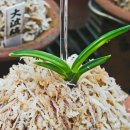 서반농장 이미지