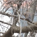 고운방