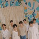 넥스지 카카오 검색결과