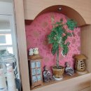 주전블루베리 이미지