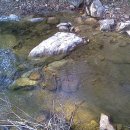 봉낚시터 이미지