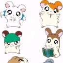 방가방가 PC 이미지