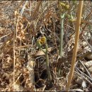 화창농원 이미지