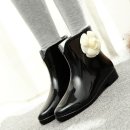 까멜리아 플라워 이미지