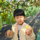 코코농원 이미지