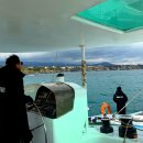 블루 | 제주 서귀포 요트투어 인생코스 그랑블루 후기